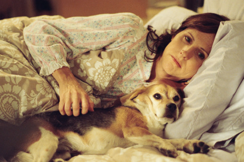 Movie Preview: Year of the Dog